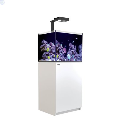 【魚店亂亂賣】Red Sea紅海REEFER 170海水超白玻璃底部過濾魚缸LED套缸(白色)提問享折扣碼