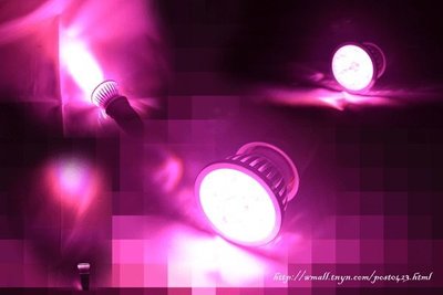 【瑪太】植物工廠E27杯燈4w 粉紅帶藍光植物補光燈 660nm加強植物生長 生長燈 藝術燈 投射燈