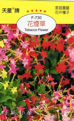 【野菜部屋~】Y58 花煙草Tobacco Flower~天星牌原包裝種子~每包17元~