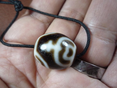 【珠添神聖】 傳說天珠 西藏達洛型二不透光 寶瓶天珠  ~隨附收藏珠寶絨布袋~LA1