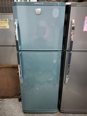 LG雙門冰箱   198公升