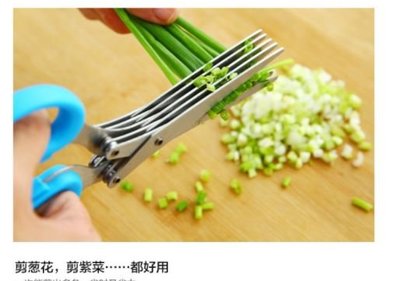 不鏽鋼廚房蔥花剪刀 五層蔥花剪食物紫菜碎蔥剪碎紙多層輔食批發