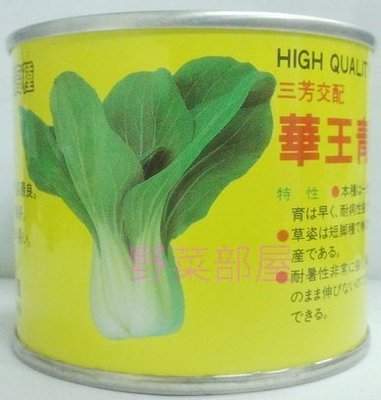 【野菜部屋~蔬菜種子】F26 日本華王2號青江菜種子50公克(約18500顆種子) , 耐熱性強 , 採收快 ~