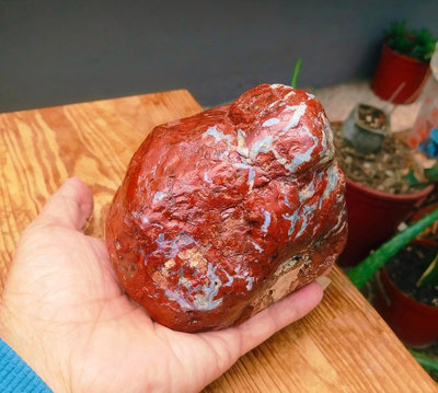 老珍藏天然紅吱吱綣花酒精藍玉髓原礦~重約1479公克~老物件出清