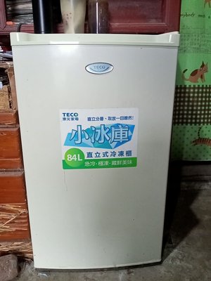 東元TECO 84L 小冰庫 直立式冷凍櫃