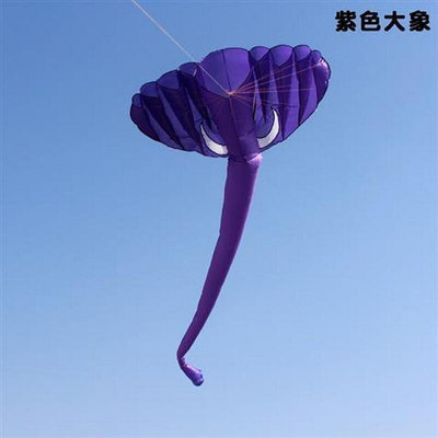 風箏線輪風箏大人夜光新款大型軟體風箏大象風箏立Y體風箏線輪
