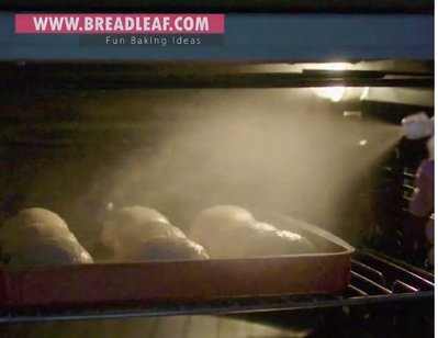 全新breadleaf 300ml麵包噴水瓶/噴酒瓶/細霧狀，讓烤箱裡可以均勻補給到水氣
