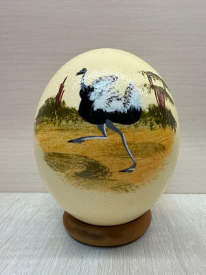 天然鴕鳥蛋 南非鴕鳥蛋 鴕鳥蛋擺件 鴕鳥蛋紀念品 收藏 擺飾 二手鴕鳥蛋擺飾