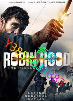 DVD 專賣店 反抗者羅賓漢/Robin Hood The Rebellion