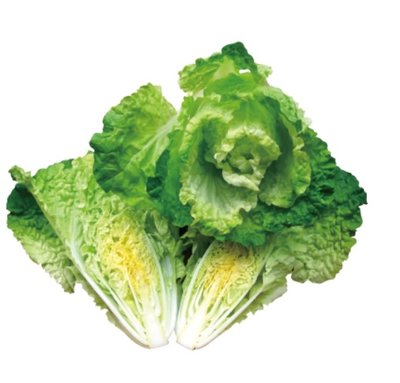 【野菜部屋~】F36 沙拉白菜種子0.6公克 , 甜度高 , 栽培容易 , 每包15元 ~