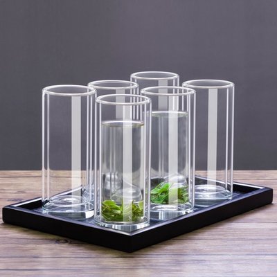 【熱賣精選】 創意雙層隔熱玻璃杯家用加厚防燙泡茶杯客廳簡約透明喝水杯子套裝