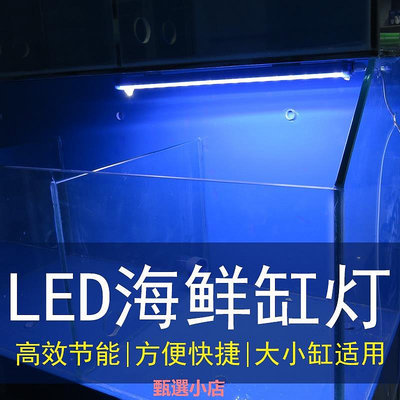 精品螃蟹海鮮池魚缸LED照明燈節能防水方管藍色外殼PVC管道配件燈光不