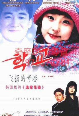 DVD 1999年 飛揚的青春/學校（韓版流星花園） 韓劇