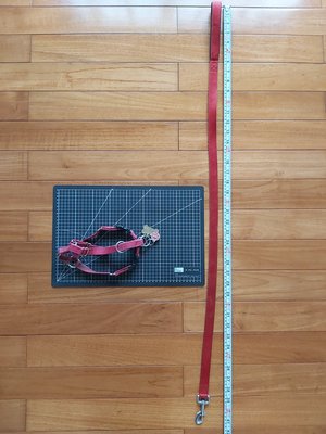 美國普立爾Premier 狗項圈狗鍊牽繩 牽繩長約126公分cm