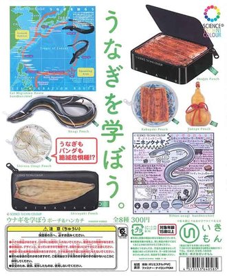 【扭蛋屋】STC-鰻魚小知識手帕與小物包《全8款》