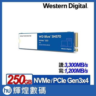 WD 藍標SN570 250GB SSD PCIe NVMe固態硬碟(WDS250G3B0C)