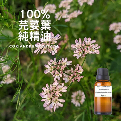 100%芫荽葉純精油Coriander-Pure Essential Oil-30ml