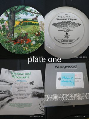 現貨---英國經典骨瓷盤-----Wedgwood 山林小徑的風光 裝飾盤 掛盤 (5款)