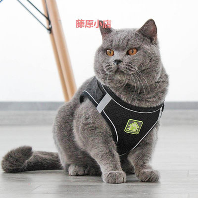 精品貓繩子貓咪牽引繩背心式透氣衣服胸背帶防掙脫可調節伸縮英短藍貓