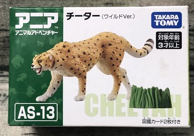 《GTS》純日貨 TAKARA TOMY 動物系列 AS-13 獵豹(野生版)139607