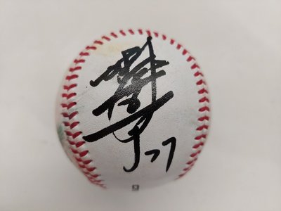 中華職棒 中華隊 統一獅 林安可 親筆簽名球 簽於實戰球