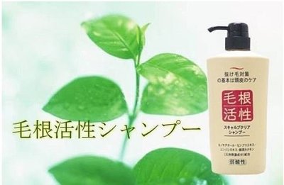 【依依的家】日本製 毛根活性健康頭皮洗髮精