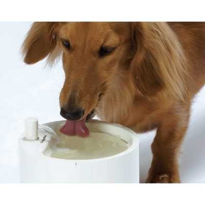 DoggyMan DM 愛犬用 噴泉飲水器 CAFE 自動餵水器 濾式給水器 活水機，每個1,290元