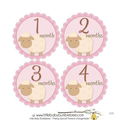Qutie.B❤美國 Bumblebee 0-1歲 寶寶月份貼紙❤妙衣貼/ 成長紀錄- 粉紅小羊-G101【現貨】