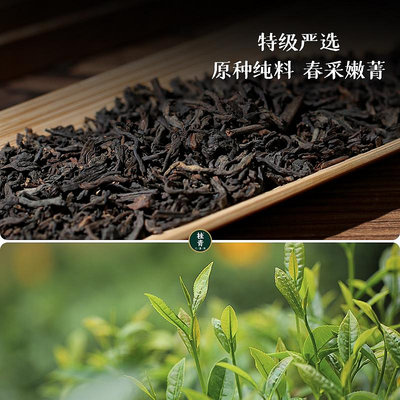 黑茶花自在六堡茶 2018特級 正宗廣西梧州特產黑茶250g