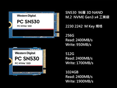 WD 工業級 SN530 512G NVMe SSD 單面顆粒 工業包 5年保 另有 256G 1024G預購