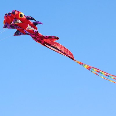 特賣-風箏3D無骨風箏大金魚大人專用大型高檔立體軟體風箏易飛好飛新款