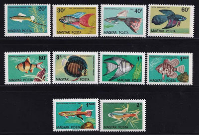 【二手】 匈牙利 1962 魚類郵票 熱帶魚 觀賞魚 10全新472 郵票 首日封 小型張【經典錢幣】