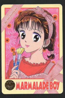 《CardTube卡族》(060930) 86 日本原裝橘子醬男孩 PP萬變卡∼ 1995年遊戲普卡