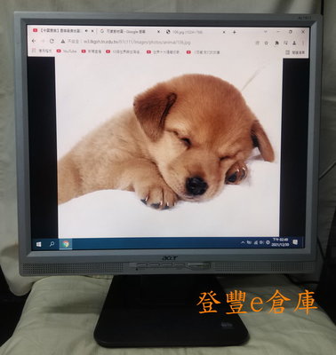 【登豐e倉庫】 萌狗睡睡 Acer AL1917 19吋 正方形 LCD 液晶螢幕