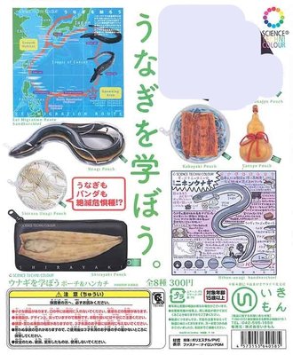 【扭蛋屋】STC-鰻魚小知識手帕與小物包《全7款》