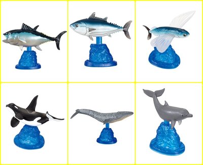 EPOCH 轉蛋 黑鮪魚與海洋生物 黑鮪魚  海洋生物 飛魚 鯨魚 全套6款 合售 現貨