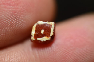 千年鑲蝕紅玉髓珠，1800-2200年，二期蝕花珠，鑲蝕力度3589