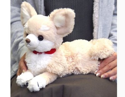 日本進口  37CM長 好品質可愛小狗狗絨毛娃娃玩偶吉娃娃狗狗擺件裝飾品送禮禮物 6662c