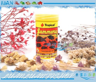 【魚店亂亂賣】l德比克Tropical高蛋白乾蝦飼料100ml(烏龜全蝦飼料)12g U-T1032