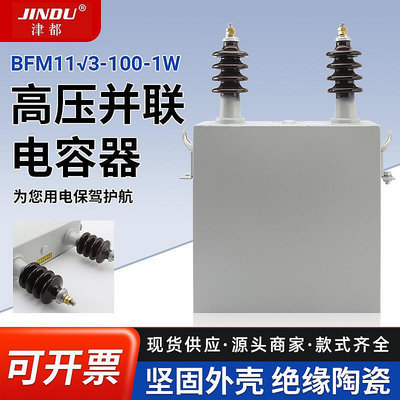 高壓並聯電容器BFM11√3-100-1W補償電容器電力成套高低壓電容器