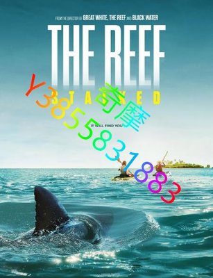 DVD 賣場 電影 暗礁狂鯊/The Reef: Stalked 2022年