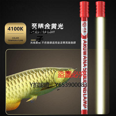 增艷燈 龍魚專用發色燈誘色增色仟魚三基色魚缸燈nec金龍紅龍魚燈潛水燈