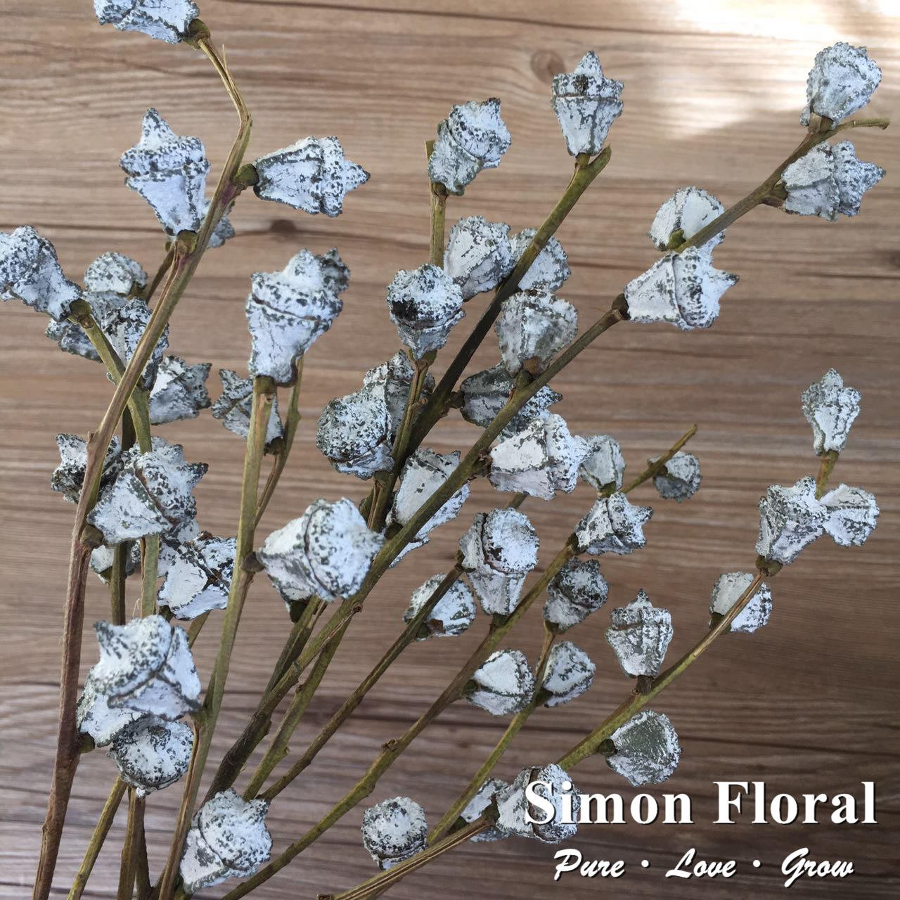 雅典生活館 尤加利藍果simon Floral 真花干果子北歐風家居裝飾辦公桌混搭配 Yahoo奇摩拍賣