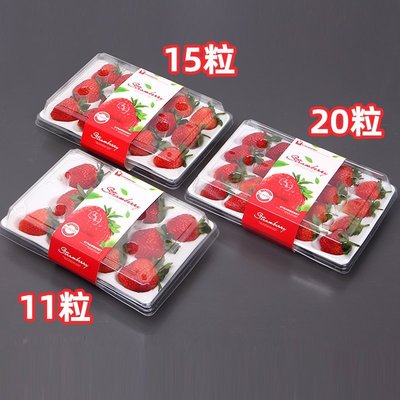 下殺 《ukik601》一次性草莓盒子透明泡沫內托草莓專用包裝盒塑料15粒網紅草莓盒
