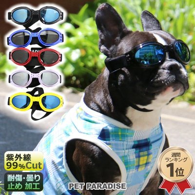 貝果貝果 日本 pet paradise  抗UV  時尚 太陽眼鏡 / 寵物眼鏡 / 大狗 / 全犬[A4163]