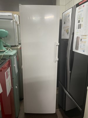 全誠家電---(3)中古利勃(256L）直立式冷凍櫃.桃園中壢二手家電