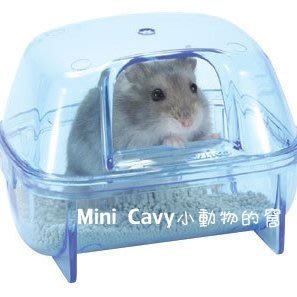 。╮♥ Mini Cavy ♥╭。日本Wild / Sanko P01 鼠鼠沐浴砂屋
