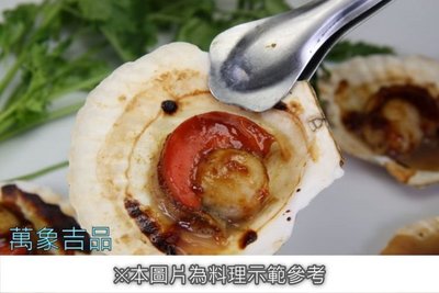 【年菜系列 】扇貝(半殼)約11-13粒/約500g~ 教您做烤肉醬燒扇貝~好吃便宜的年菜上桌~