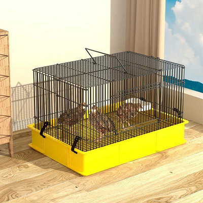 觀賞籠專用雞籠子飼養箱育雛家用寵物養殖小黃鴨柯爾鴨籠