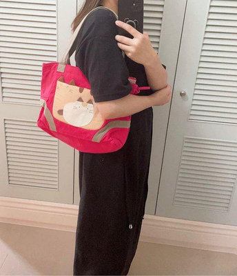 日本卡拉貓～親子貓內防水側背包 手提包
